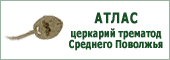 Атлас церкарий трематод Среднего Поволжья